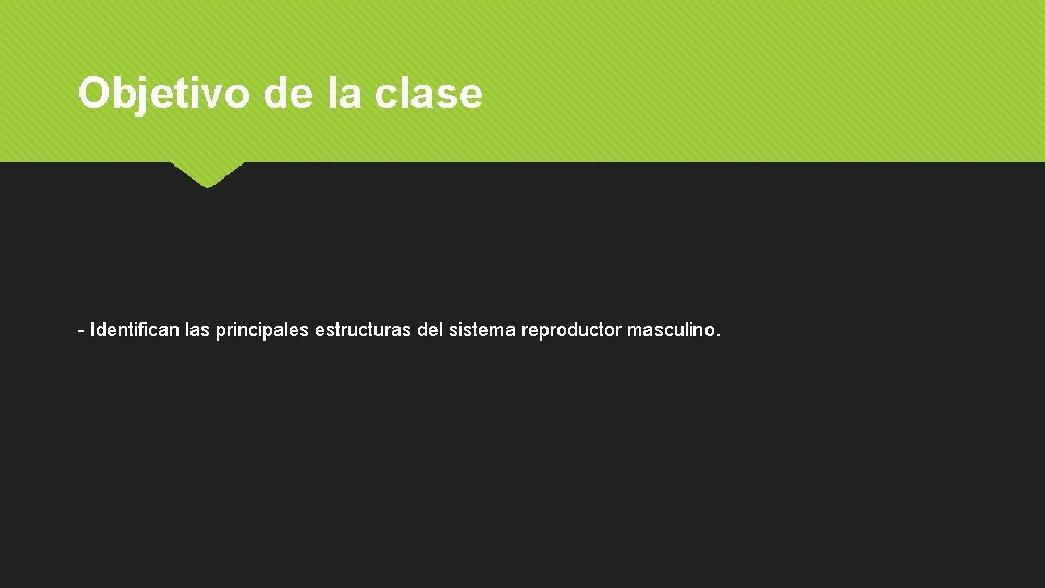 Objetivo de la clase - Identifican las principales estructuras del sistema reproductor masculino. 