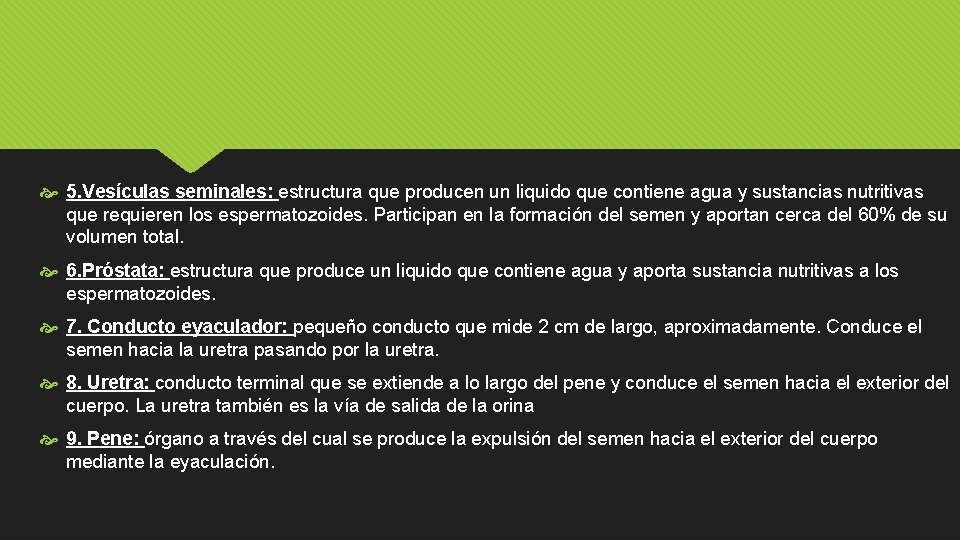  5. Vesículas seminales: estructura que producen un liquido que contiene agua y sustancias