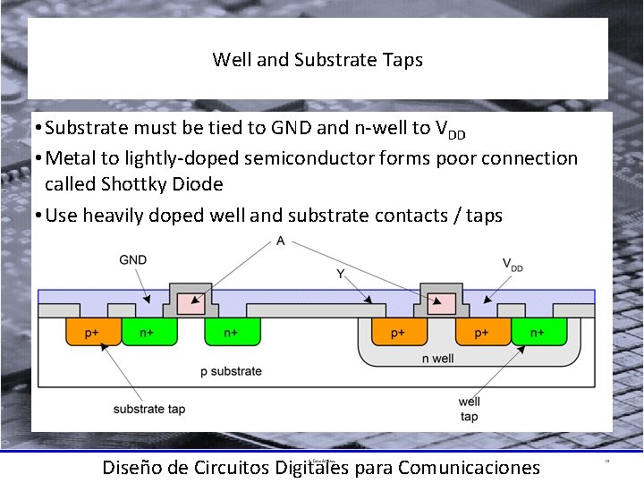 Well and Substrate Taps • Substrate must be tied to GND and n-well to