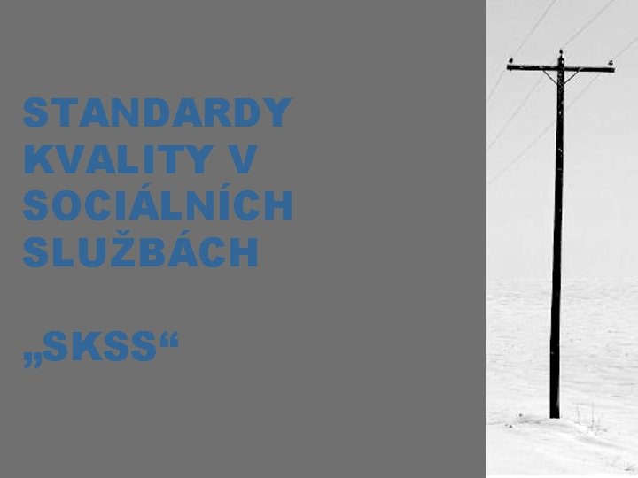 STANDARDY KVALITY V SOCIÁLNÍCH SLUŽBÁCH „SKSS“ 