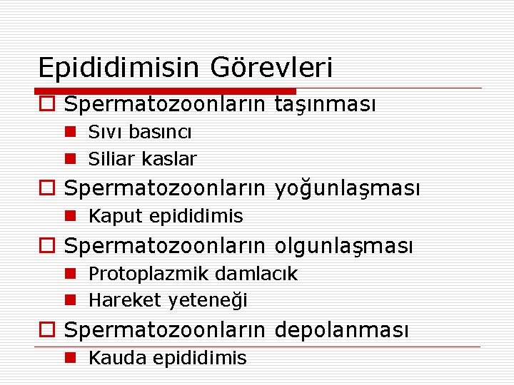 Epididimisin Görevleri o Spermatozoonların taşınması n Sıvı basıncı n Siliar kaslar o Spermatozoonların yoğunlaşması