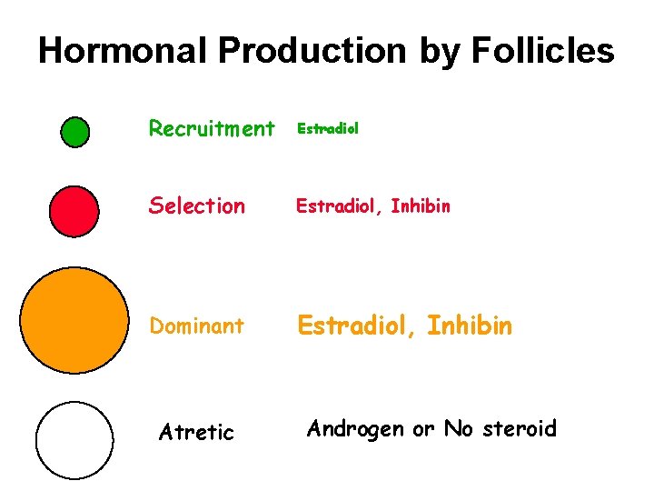 Hormonal Production by Follicles Recruitment Estradiol Selection Estradiol, Inhibin Dominant Estradiol, Inhibin Atretic Androgen