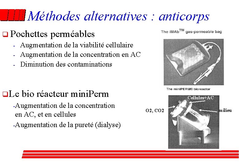 Méthodes alternatives : anticorps q Pochettes perméables - Augmentation de la viabilité cellulaire -