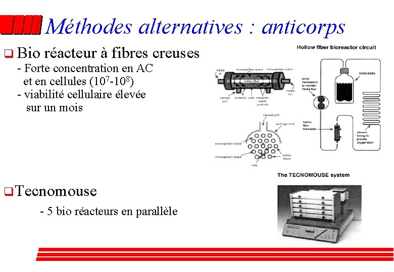 Méthodes alternatives : anticorps q Bio réacteur à fibres creuses - Forte concentration en