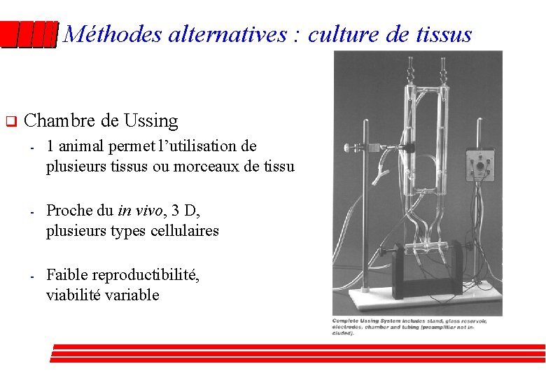 Méthodes alternatives : culture de tissus q Chambre de Ussing - 1 animal permet