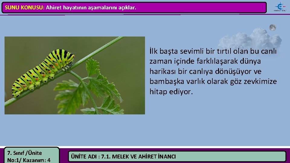 SUNU KONUSU: Ahiret hayatının aşamalarını açıklar. İlk başta sevimli bir tırtıl olan bu canlı