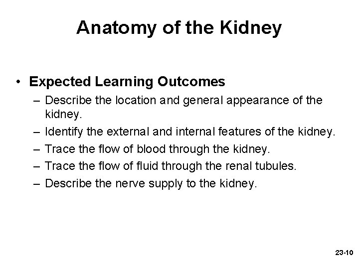 Anatomy of the Kidney • Expected Learning Outcomes – Describe the location and general Anatomy of the Kidney • Expected Learning Outcomes – Describe the location and general