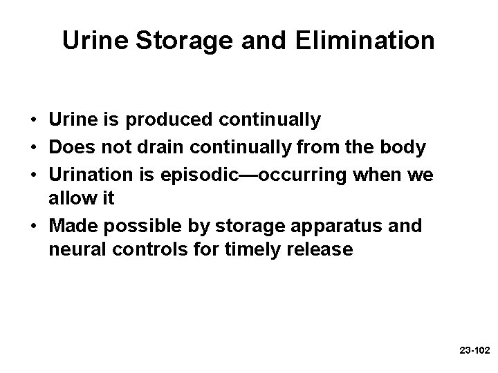 Urine Storage and Elimination • Urine is produced continually • Does not drain continually Urine Storage and Elimination • Urine is produced continually • Does not drain continually