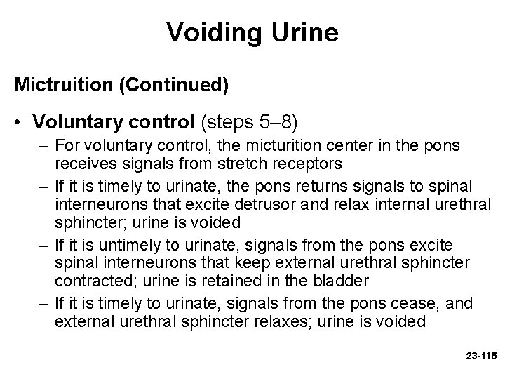 Voiding Urine Mictruition (Continued) • Voluntary control (steps 5– 8) – For voluntary control, Voiding Urine Mictruition (Continued) • Voluntary control (steps 5– 8) – For voluntary control,