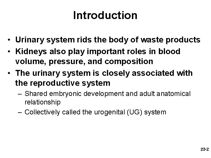 Introduction • Urinary system rids the body of waste products • Kidneys also play Introduction • Urinary system rids the body of waste products • Kidneys also play