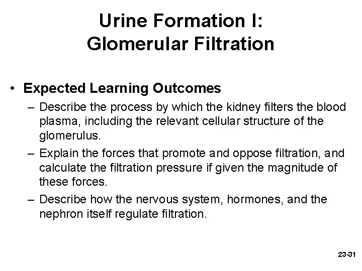 Urine Formation I: Glomerular Filtration • Expected Learning Outcomes – Describe the process by Urine Formation I: Glomerular Filtration • Expected Learning Outcomes – Describe the process by
