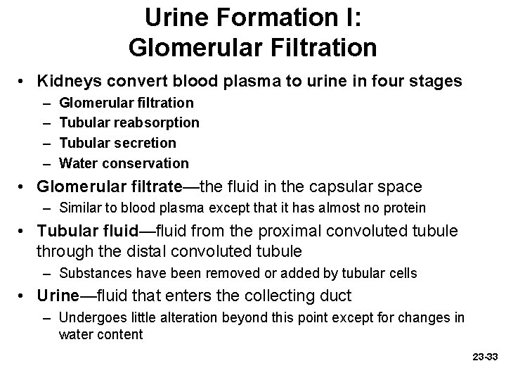 Urine Formation I: Glomerular Filtration • Kidneys convert blood plasma to urine in four Urine Formation I: Glomerular Filtration • Kidneys convert blood plasma to urine in four