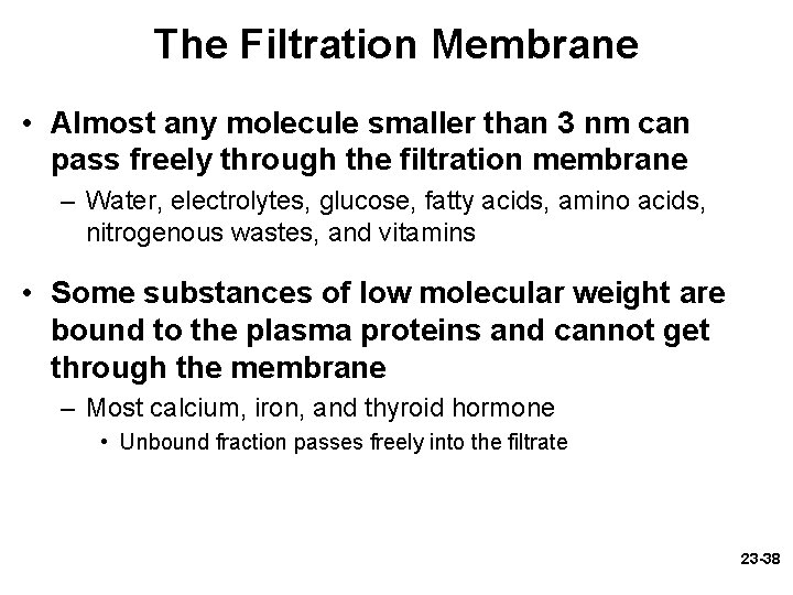 The Filtration Membrane • Almost any molecule smaller than 3 nm can pass freely The Filtration Membrane • Almost any molecule smaller than 3 nm can pass freely
