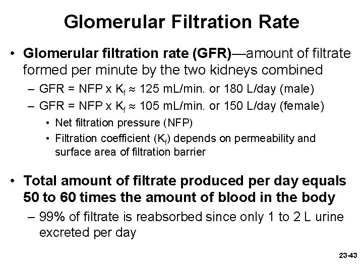 Glomerular Filtration Rate • Glomerular filtration rate (GFR)—amount of filtrate formed per minute by Glomerular Filtration Rate • Glomerular filtration rate (GFR)—amount of filtrate formed per minute by