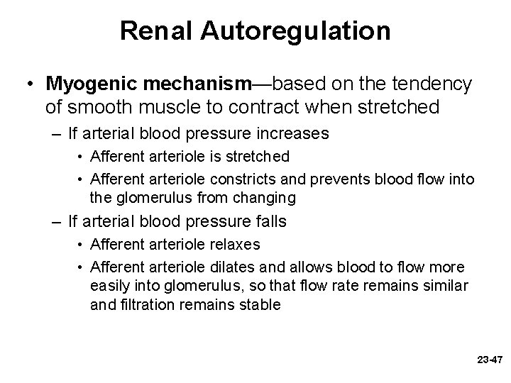 Renal Autoregulation • Myogenic mechanism—based on the tendency of smooth muscle to contract when Renal Autoregulation • Myogenic mechanism—based on the tendency of smooth muscle to contract when