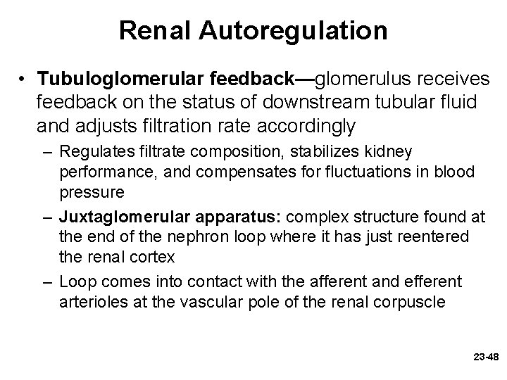 Renal Autoregulation • Tubuloglomerular feedback—glomerulus receives feedback on the status of downstream tubular fluid Renal Autoregulation • Tubuloglomerular feedback—glomerulus receives feedback on the status of downstream tubular fluid