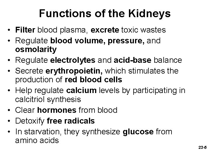 Functions of the Kidneys • Filter blood plasma, excrete toxic wastes • Regulate blood Functions of the Kidneys • Filter blood plasma, excrete toxic wastes • Regulate blood