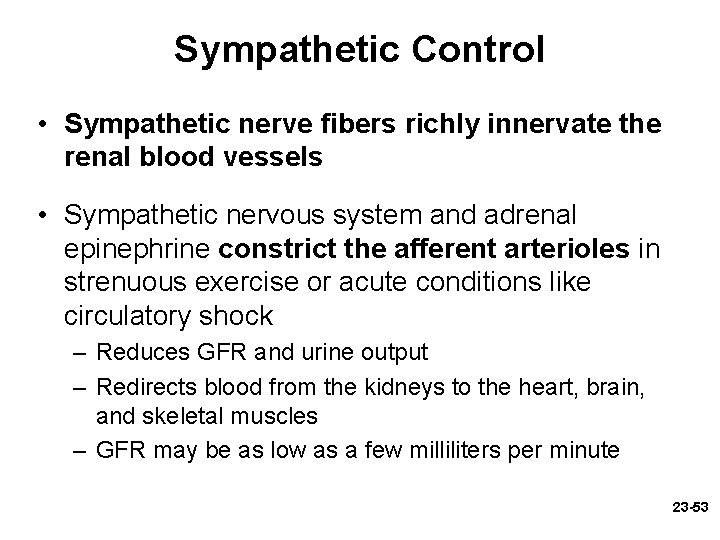 Sympathetic Control • Sympathetic nerve fibers richly innervate the renal blood vessels • Sympathetic Sympathetic Control • Sympathetic nerve fibers richly innervate the renal blood vessels • Sympathetic