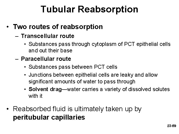 Tubular Reabsorption • Two routes of reabsorption – Transcellular route • Substances pass through Tubular Reabsorption • Two routes of reabsorption – Transcellular route • Substances pass through