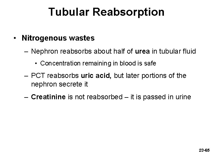 Tubular Reabsorption • Nitrogenous wastes – Nephron reabsorbs about half of urea in tubular Tubular Reabsorption • Nitrogenous wastes – Nephron reabsorbs about half of urea in tubular