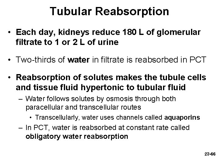 Tubular Reabsorption • Each day, kidneys reduce 180 L of glomerular filtrate to 1 Tubular Reabsorption • Each day, kidneys reduce 180 L of glomerular filtrate to 1