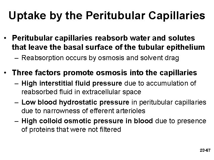 Uptake by the Peritubular Capillaries • Peritubular capillaries reabsorb water and solutes that leave Uptake by the Peritubular Capillaries • Peritubular capillaries reabsorb water and solutes that leave