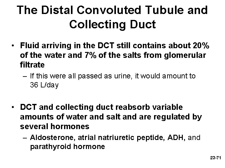 The Distal Convoluted Tubule and Collecting Duct • Fluid arriving in the DCT still The Distal Convoluted Tubule and Collecting Duct • Fluid arriving in the DCT still