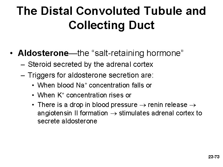 The Distal Convoluted Tubule and Collecting Duct • Aldosterone—the “salt-retaining hormone” – Steroid secreted The Distal Convoluted Tubule and Collecting Duct • Aldosterone—the “salt-retaining hormone” – Steroid secreted