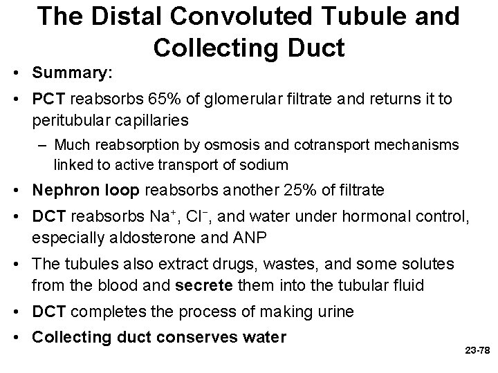 The Distal Convoluted Tubule and Collecting Duct • Summary: • PCT reabsorbs 65% of The Distal Convoluted Tubule and Collecting Duct • Summary: • PCT reabsorbs 65% of