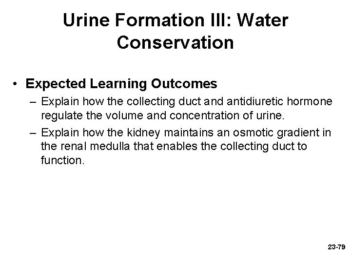 Urine Formation III: Water Conservation • Expected Learning Outcomes – Explain how the collecting Urine Formation III: Water Conservation • Expected Learning Outcomes – Explain how the collecting