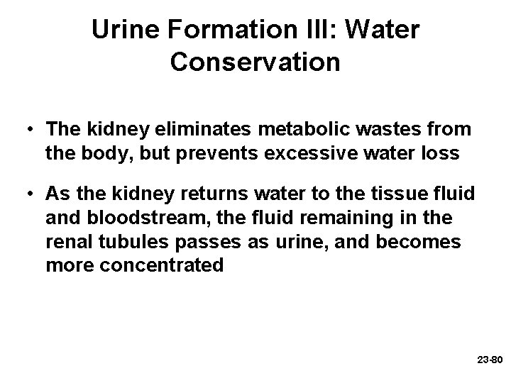Urine Formation III: Water Conservation • The kidney eliminates metabolic wastes from the body, Urine Formation III: Water Conservation • The kidney eliminates metabolic wastes from the body,