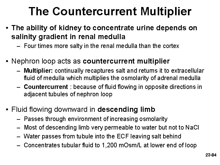 The Countercurrent Multiplier • The ability of kidney to concentrate urine depends on salinity The Countercurrent Multiplier • The ability of kidney to concentrate urine depends on salinity