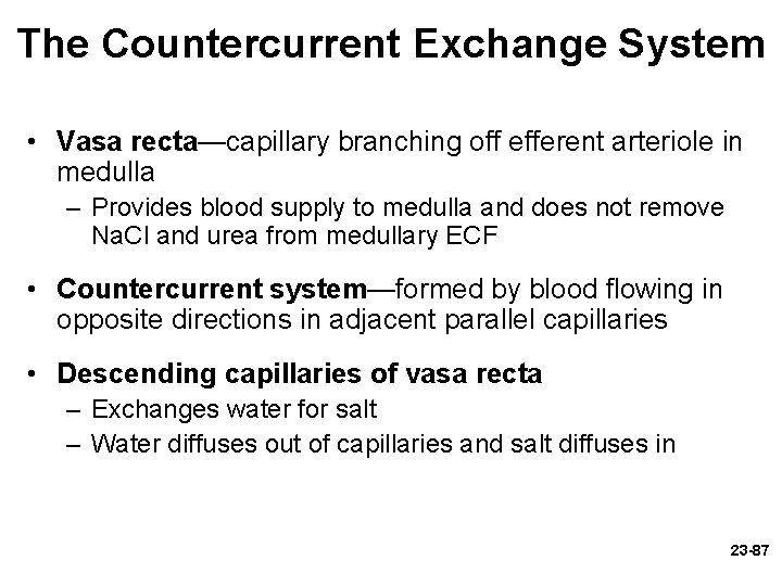 The Countercurrent Exchange System • Vasa recta—capillary branching off efferent arteriole in medulla – The Countercurrent Exchange System • Vasa recta—capillary branching off efferent arteriole in medulla –