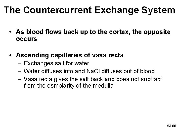 The Countercurrent Exchange System • As blood flows back up to the cortex, the The Countercurrent Exchange System • As blood flows back up to the cortex, the