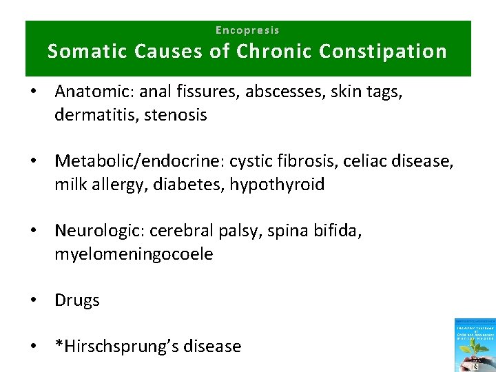 Encopresis Somatic Causes of Chronic Constipation • Anatomic: anal fissures, abscesses, skin tags, dermatitis,