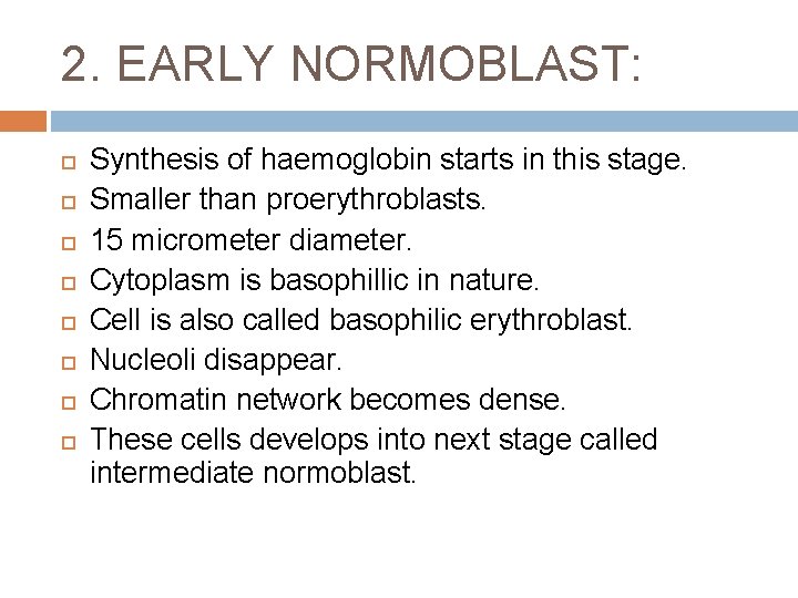 2. EARLY NORMOBLAST: Synthesis of haemoglobin starts in this stage. Smaller than proerythroblasts. 15
