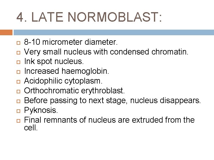 4. LATE NORMOBLAST: 8 -10 micrometer diameter. Very small nucleus with condensed chromatin. Ink