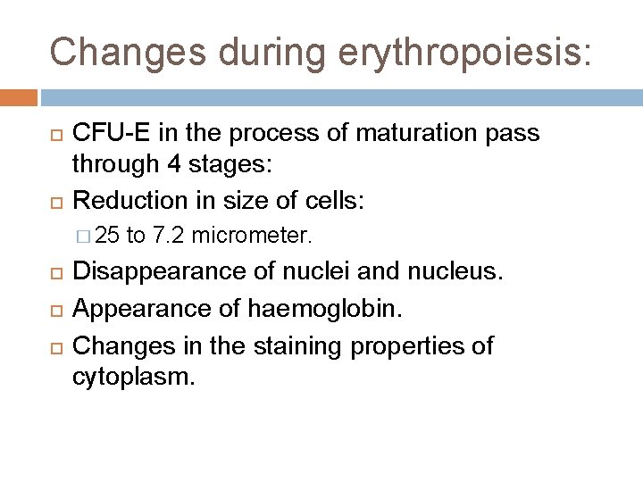 Changes during erythropoiesis: CFU-E in the process of maturation pass through 4 stages: Reduction