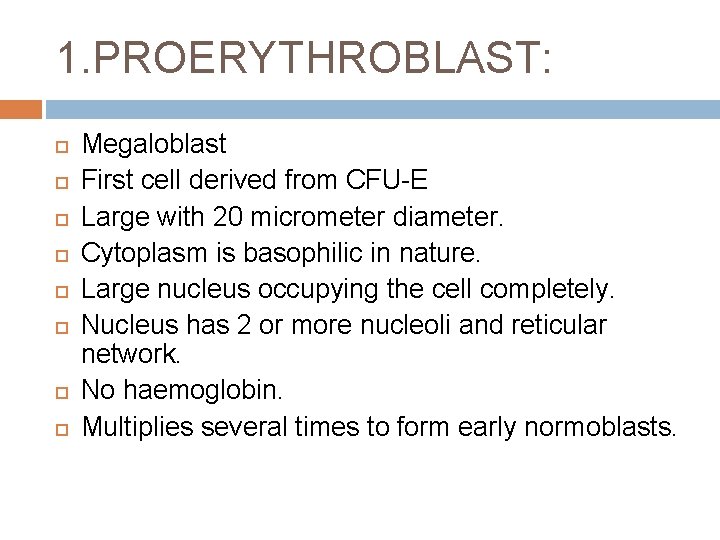 1. PROERYTHROBLAST: Megaloblast First cell derived from CFU-E Large with 20 micrometer diameter. Cytoplasm