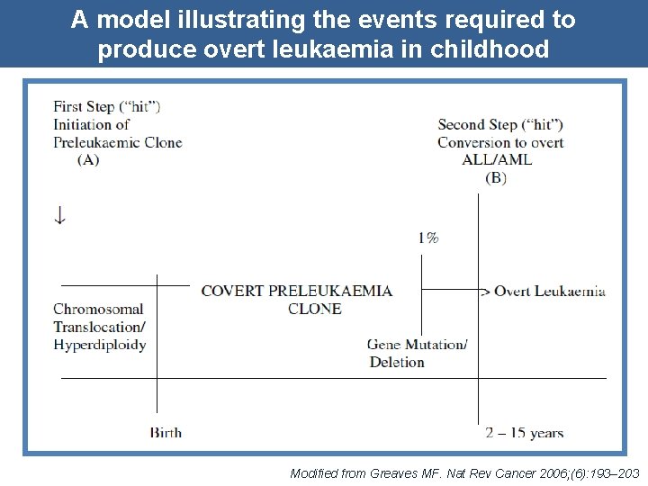A model illustrating the events required to produce overt leukaemia in childhood Modified from