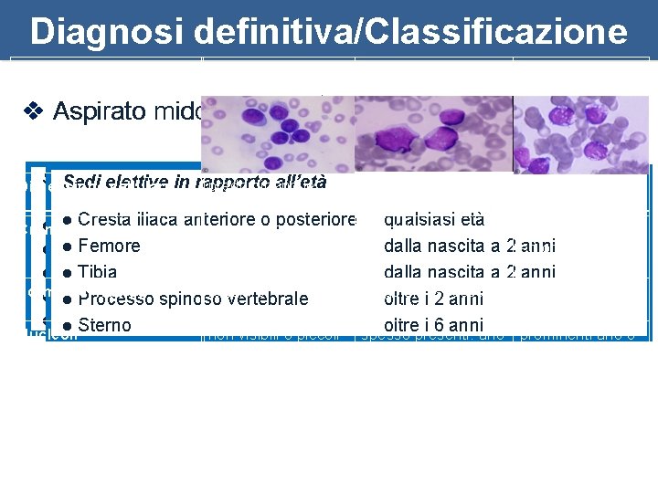 Diagnosi definitiva/Classificazione L 1 v Aspirato midollare L 2 l L 3 esame morfologico