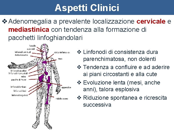 Aspetti Clinici v Adenomegalia a prevalente localizzazione cervicale e mediastinica con tendenza alla formazione