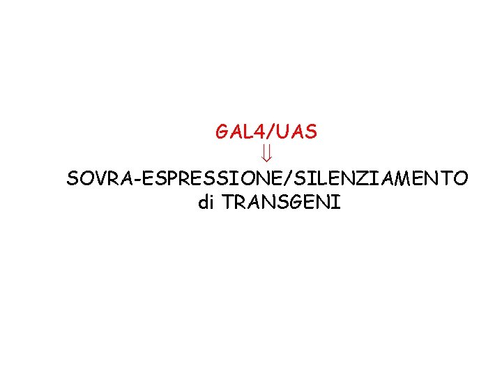 GAL 4/UAS SOVRA-ESPRESSIONE/SILENZIAMENTO di TRANSGENI 