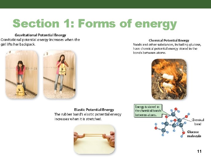 Section 1: Forms of energy 11 Section 1: Forms of energy 11
