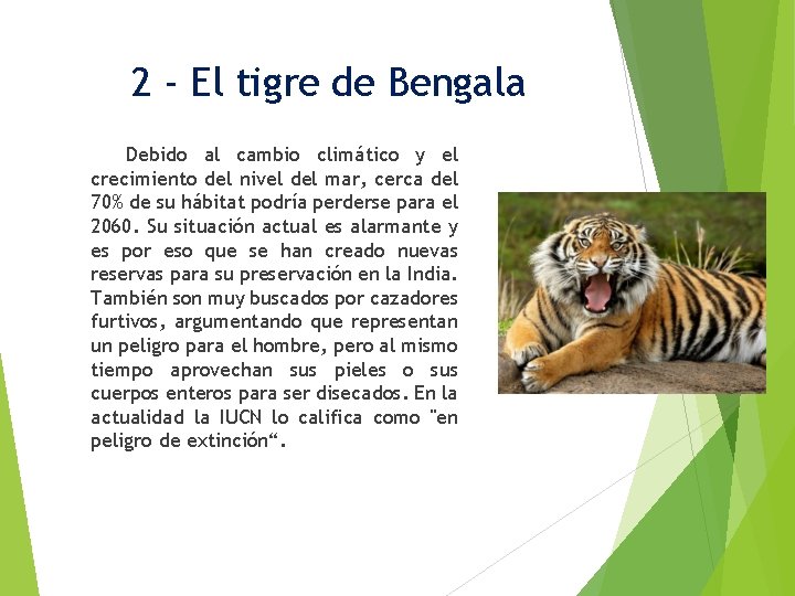 2 - El tigre de Bengala Debido al cambio climático y el crecimiento del