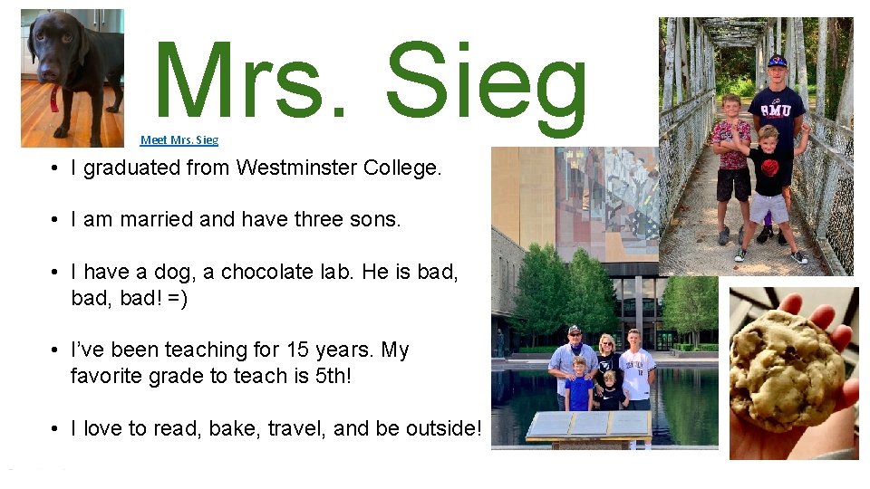 Mrs. Sieg Meet Mrs. Sieg • I graduated from Westminster College. • I am