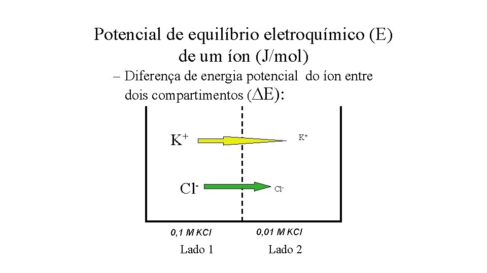 Potencial de equilíbrio eletroquímico (E) de um íon (J/mol) – Diferença de energia potencial