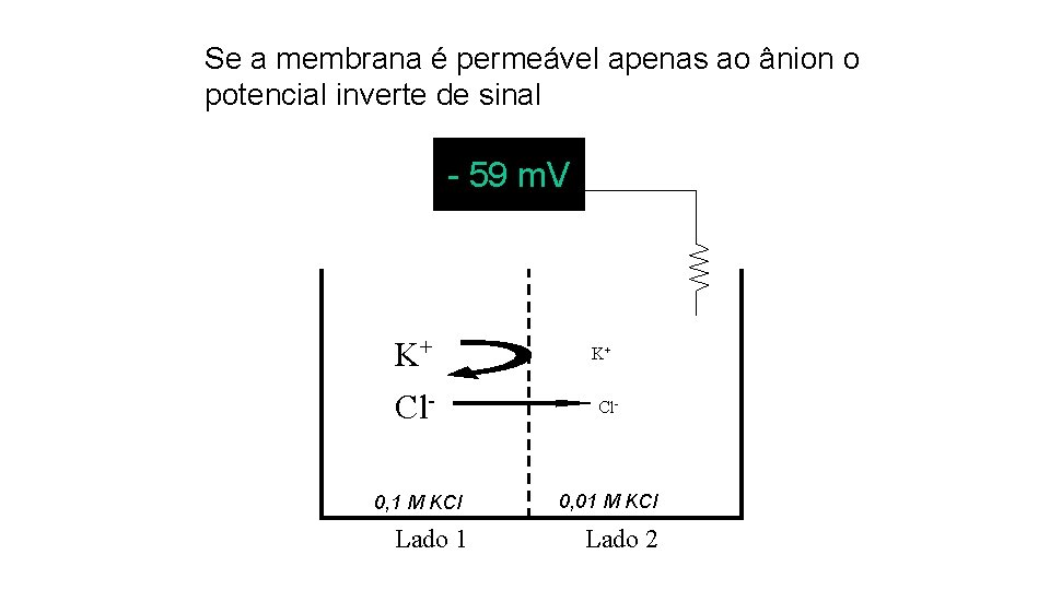 Se a membrana é permeável apenas ao ânion o potencial inverte de sinal -