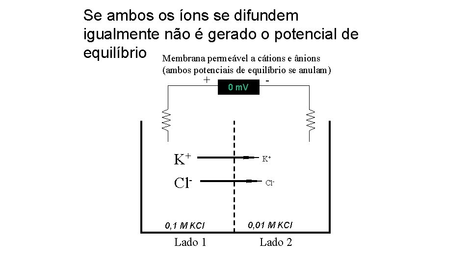 Se ambos os íons se difundem igualmente não é gerado o potencial de equilíbrio