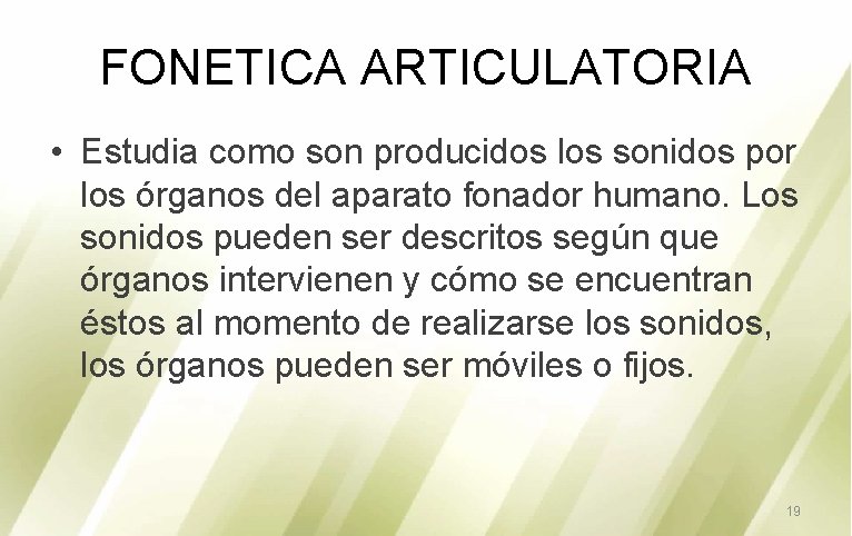 FONETICA ARTICULATORIA • Estudia como son producidos los sonidos por los órganos del aparato